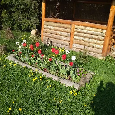 Усадьба Лісогор Konukevi *